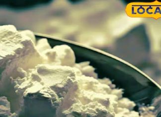 क्या बिना दूध के पनीर बनाना मुमकिन है? लैक्टोज से है परहेज!जानिए परफेक्ट ऑप्शन