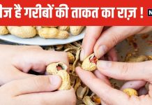 बादाम से भी पावरफुल यह सस्ती चीज ! प्रोटीन और मिनरल्स का पूरा ‘कारखाना’, बिस्तर पर जाने से पहले जरूर खाएं