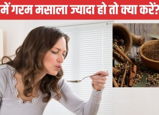 सब्जी में तेज हो गया है गरम मसाला? इन 3 चीजों से करें Garam masala का फ्लेवर कम, खाने का बढ़ जाएगा स्वाद