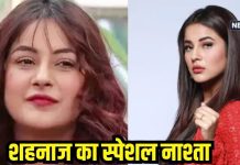 शहनाज गिल ने शेयर किया अपना ब्रेकफास्ट मेन्यू, हेल्दी रहने के लिए जान लें फिटनेस सीक्रेट