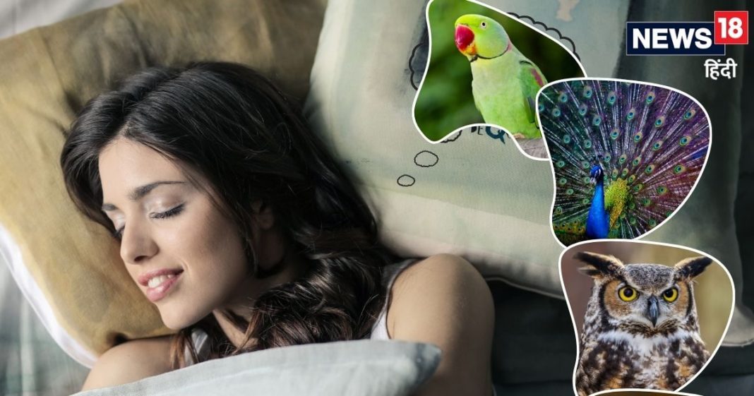 सपने में इन 5 पक्षियों का दिखना बेहद शुभ, अच्छे दिनों की ओर करते हैं इशारा, जानें क्या कहता है स्वप्न शास्त्र