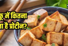 प्रोटीन से भरपूर पनीर या टोफू? डाइट में किया शामिल तो नहीं होगा कैंसर का खतरा, हार्ट के लिए भी जान लें क्या हेल्दी