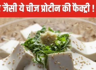 पेड़-पौधों से बनी यह चीज प्रोटीन का खजाना ! इसमें कूट-कूटकर भरे पोषक तत्व, हड्डियों को बना देगी फौलाद