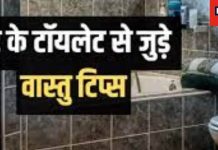 Vastu Tips For Toilet: घर में लोग रहते हैं बीमार या कर्जे-क्लेश की है स्थिति, खुद चेक करें अपने बाथरूम-टॉयलेट का वास्तु