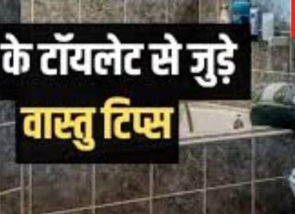 Vastu Tips For Toilet: घर में लोग रहते हैं बीमार या कर्जे-क्लेश की है स्थिति, खुद चेक करें अपने बाथरूम-टॉयलेट का वास्तु