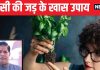 पौधा तो पौधा…बड़े-बड़े कमाल करती है इसकी जड़ भी, उपाय करके तो देखिए, हमेशा के लिए खत्म होगी पैसों की तंगी!