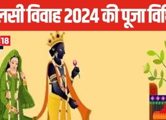 क्यों भगवान विष्णु ने किया था ये विवाह, क्या है इसका महत्व, जानें तुलसी विवाह की सही विधि