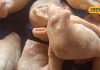 Famous Samosa: यहां सिर्फ 8 रुपये में मिलता है समोसा…खट्टी-मीठी चटनी के साथ लगते हैं लाजवाब, खरीदने के लिए लगती है भीड़