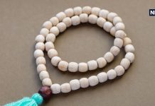 क्या है वैजयंती माला, लड्डू गोपाल को पहनाने के हैं अनेक फायदे, हैरान कर देंगे इसके परिणाम!