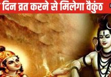 इस दिन भगवान विष्णु ने भी की महादेव की पूजा, इस दिन व्रत करने से मिल सकता है बैकुंठ, जानें मुहूर्त और पूजा विधि !