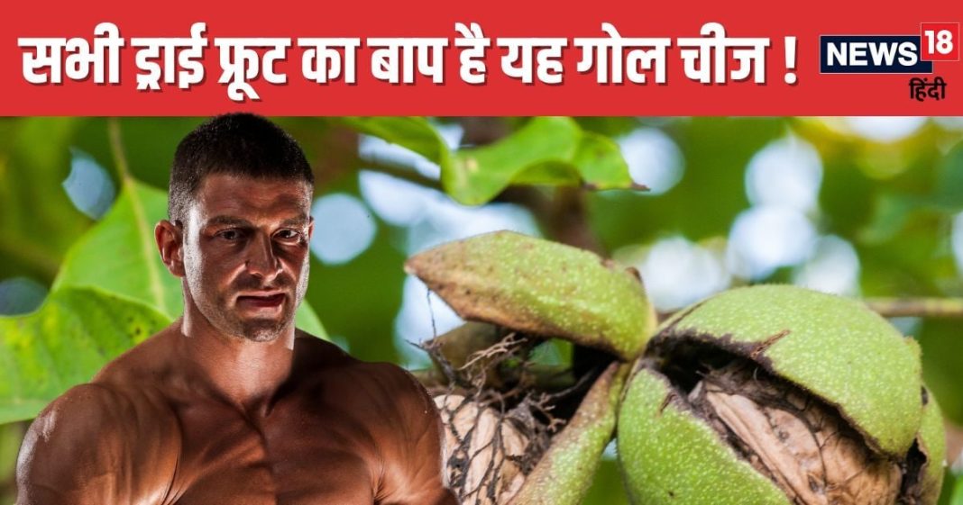 पत्थर सा मजबूत यह ड्राई फ्रूट शरीर को बना देगा फौलाद ! इसमें छिपा ताकत का खजाना, ब्रेन के लिए ‘चमत्कारी’