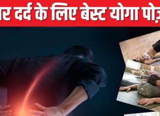 बैठे-बैठे काम करने से कमर में रहने लगा दर्द? आराम पाने के लिए रोज कर लें 5 योगाभ्यास, मिलेगा जबरदस्त फायदा