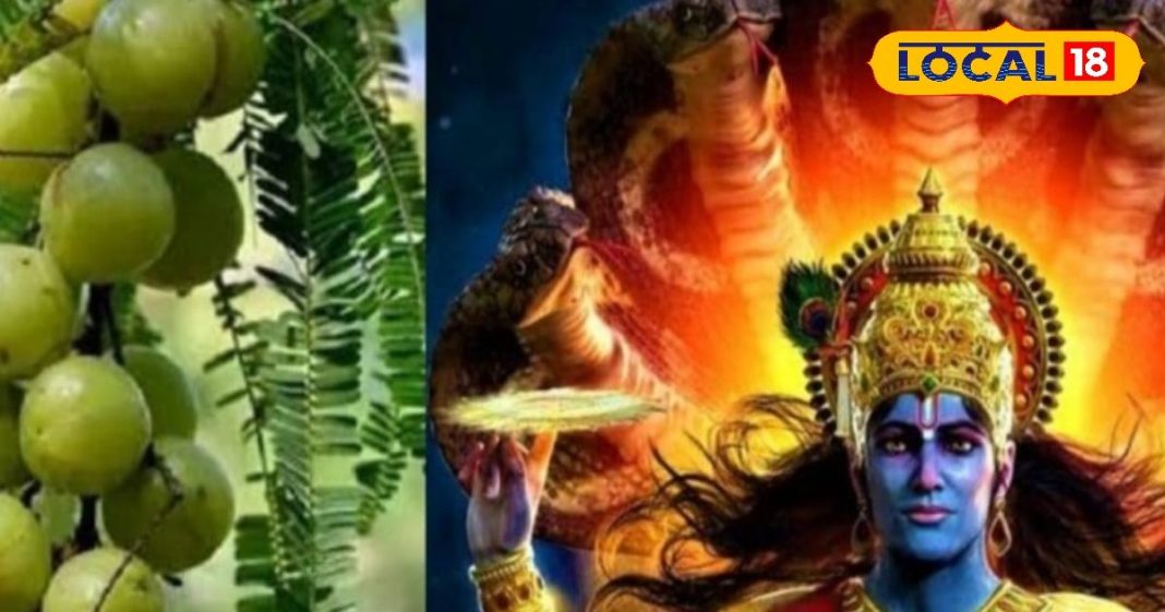 अक्षय नवमी कल… ये 2 उपाय दूर कर देंगे घर की दरिद्रता और वास्तु दोष! देवघर के आचार्य से जानें