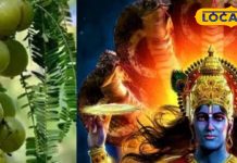 अक्षय नवमी कल… ये 2 उपाय दूर कर देंगे घर की दरिद्रता और वास्तु दोष! देवघर के आचार्य से जानें