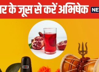 अनार के रस से करें भगवान शिव का रुद्राभिषेक, घर की सुख-शांति और समृद्धि में होगी बढ़ोतरी, बाबा महादेव का मिलेगा आशीर्वाद