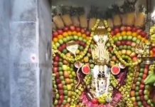 अमावस्या पूजा पर 100 किलो फलों से सजाया गया मंदिर, भक्तों की अलौकिक श्रद्धा