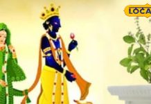 कब है तुलसी विवाह? देवघर के ज्योतिषी से जानें सही तारीख, पूजा मुहूर्त