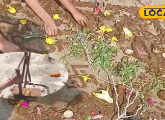 क्या होती है गोधन पूजा? भाई की लंबी उम्र के लिए जीभ में कांटे डालती हैं बहनें, पढ़ें पूरी कथा