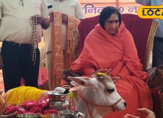 गोपाष्टमी: गायों की पूजा और कृष्ण की लीलाओं से जुड़ा पर्व, जानिए क्यों है ये खास