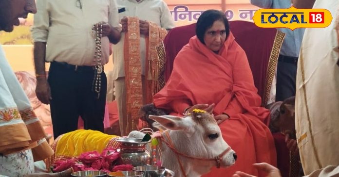 गोपाष्टमी: गायों की पूजा और कृष्ण की लीलाओं से जुड़ा