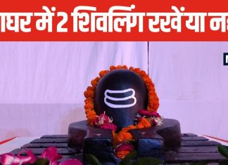 घर में दो शिवलिंग रखना शुभ या अशुभ? जानें क्या कहते हैं धार्मिक ग्रंथ, कैसे प्रभावित करते हैं जीवन