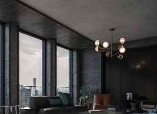 घर में लगा दें इन 2 पक्षियों की फोटो, वास्तु दोष से तुरंत मिलेगा छुटकारा; चारों तरफ से बरसेगा धन