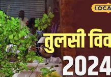 तुलसी विवाह पर बन रहे दो शुभ योग, उज्जैन के आचार्य से जानें पूजा की सही विधि और शुभ मुहूर्त