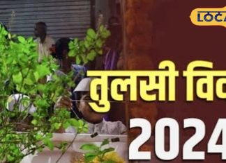 तुलसी विवाह पर बन रहे दो शुभ योग, उज्जैन के आचार्य से जानें पूजा की सही विधि और शुभ मुहूर्त