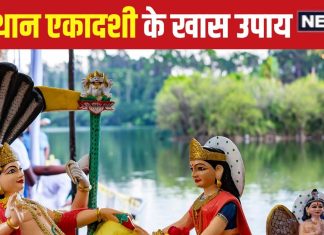 देवोत्थान एकादशी के दिन जरूर करें ये 5 उपाय, श्रीहरि की जातक पर होगी विशेष कृपा, पितृ दोष से भी मिलेगी मुक्ति!