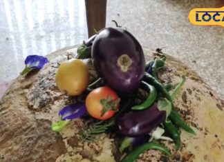 प्रसाद-अगरबत्ती नहीं…इस चमत्कारी मंदिर में नींबू-मिर्च और बैंगन चढ़ा रहे हैं लोग, आखिर क्या है वजह?