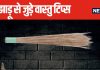 फूल और सीक वाली झाड़ू को एक साथ रखना शुभ या अशुभ? जानें किस दिशा में रखें और कहां नहीं? क्या कहता है वास्तु शास्त्र?