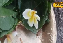 बड़ा चमत्कारी है ये फूल, इसके बिना इन लोगों की नहीं होती है शादी