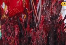 बड़ा ही चमत्कारी है मेवाड़ का ये मंदिर, यहां लकवा रोगियों को मिलती है मुक्ति