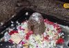 ये हैं भगवान शिव के सबसे पुराने मंदिर, सैकड़ों साल पुराना है इतिहास