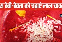 लाल अक्षत पूजा में होते हैं अत्यंत शुभ, जानें किन देवी-देवताओं को चढ़ाना चाहिए?, मिलता है सुख और सौभाग्य