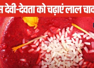लाल अक्षत पूजा में होते हैं अत्यंत शुभ, जानें किन देवी-देवताओं को चढ़ाना चाहिए?, मिलता है सुख और सौभाग्य