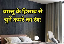 वास्तु के हिसाब से कौनसे रंग का होना चाहिए आपका कमरा? दिशा के अनुसार जान लें कलर, घर में बनी रहेगी पॉजिटिविटी