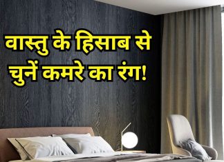 वास्तु के हिसाब से कौनसे रंग का होना चाहिए आपका कमरा? दिशा के अनुसार जान लें कलर, घर में बनी रहेगी पॉजिटिविटी