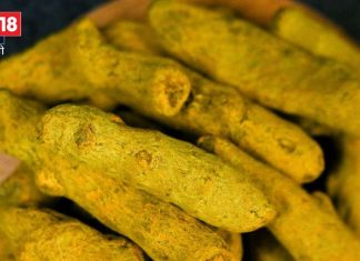 विवाह से पहले दुल्हन को क्यों बांधी जाती है हल्दी की गांठ, जानें इसका कारण और लाभ, क्या है इसका महत्व?