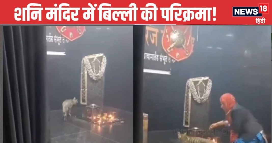 शनि देव की भक्त हुई बिल्ली, 3 दिनों से कर रही इस मंदिर में मूर्ति की परिक्रमा, वीडियो देख सभी दंग, आप भी बोल पड़ेंगे जय शनि महाराज