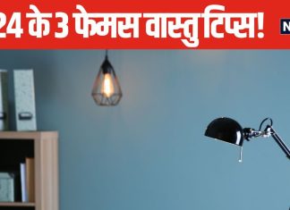 साल 2024 में सभी ने अपनाएं 3 वास्तु टिप्स, बच्चों का पढ़ाई में मन से लेकर, घर में पोड़-पौधों की दिशा तक बारीकी से जाने ये उपाय