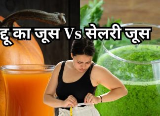 Weight Loss: कद्दू या सेलरी जूस, वेट लॉस के लिए कौनसा है बेस्ट? जानें क्यों हो रहा इतना फेमस