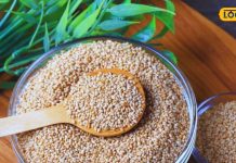 सेहत हो या सुंदरता, इन बीजों से हर समस्या का होगा समाधान, सर्दी-खांसी भी टेक देगी घुटने!