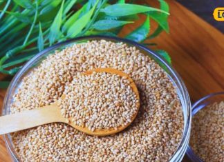 सेहत हो या सुंदरता, इन बीजों से हर समस्या का होगा समाधान, सर्दी-खांसी भी टेक देगी घुटने!