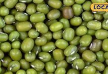 सर्दियों में मूंग दाल का जरूर करें सेवन, रोज खाने से मिलेंगे ये 5 फायदे – Bharat.one हिंदी