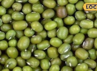 सर्दियों में मूंग दाल का जरूर करें सेवन, रोज खाने से मिलेंगे ये 5 फायदे – Bharat.one हिंदी