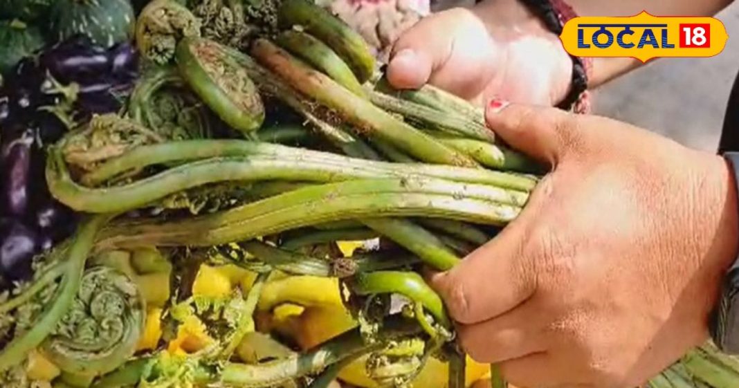 ये सब्जी है प्रोटीन का पावर हाउस, इसके आगे मटन-मछली भी फेल – Bharat.one हिंदी