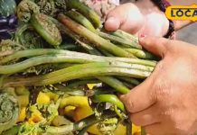 ये सब्जी है प्रोटीन का पावर हाउस, इसके आगे मटन-मछली भी फेल – Bharat.one हिंदी