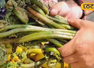 ये सब्जी है प्रोटीन का पावर हाउस, इसके आगे मटन-मछली भी फेल – Bharat.one हिंदी