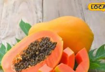 सर्दियों में जरूर खाएं ये फल, खूब मिलेगा प्रोटीन-विटामिन, चमक उठेगा चेहरा! – Bharat.one हिंदी